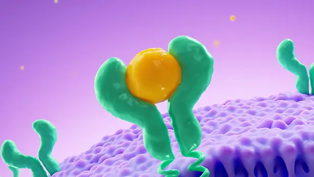 Illustration showing that several cytokines rely on the JAK‑STAT pathway to direct an immune response