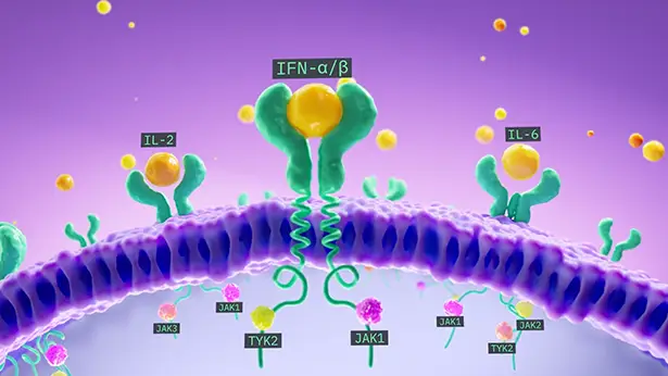 Illustration showing how JAK enzymes help communicate between cytokines and the cell nucleus, amplifying inflammatory signaling in HS