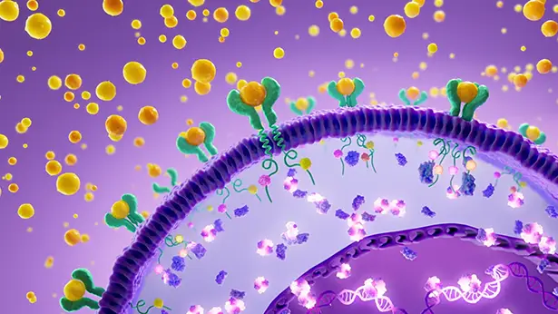 Illustration showing the JAK‑STAT pathway and the role of JAK1 in mediating the inflammatory cascade in HS