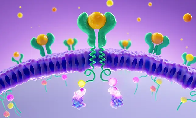 A scientific image of the immune pathway with a green play button layered on top